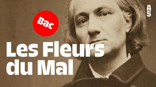 Les Fleurs Du Mal, Charles Baudelaire Bac Français 2024