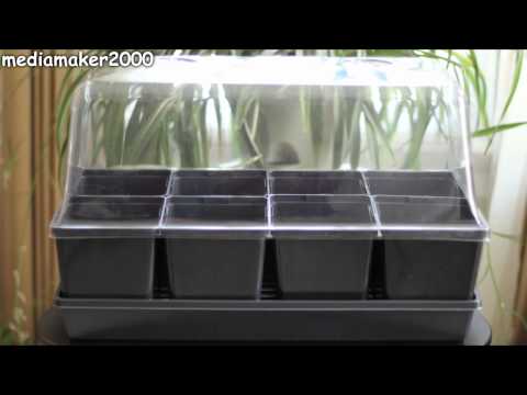 Quick & Easy Self Watering Indoor/Outdoor Greenhouse DIY
