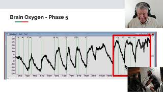 Liveo2 Brain Energy Experiment V3