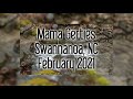 Mama Gertie's Swannanoa, NC