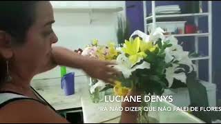 Pra não dizer que não falei de flores - Luciane Denys