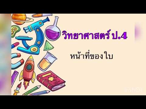 วิทยาศาสตร์ ป.4 (4) หน้าที่ของใบ ครูนัท