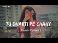 🎧Slowed and Reverb Songs | Tu Dharti Pe Chahy | RAJIB 801