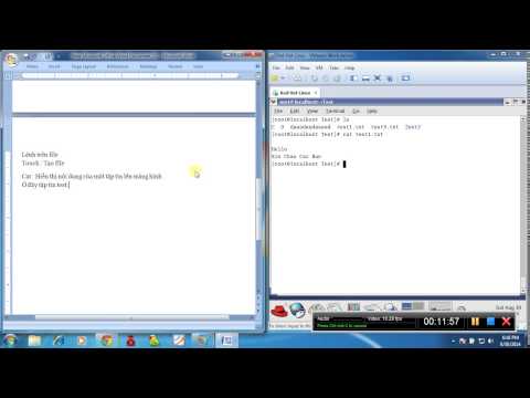 Các Lệnh Cơ Bản Nhất trong hệ điều hành linux