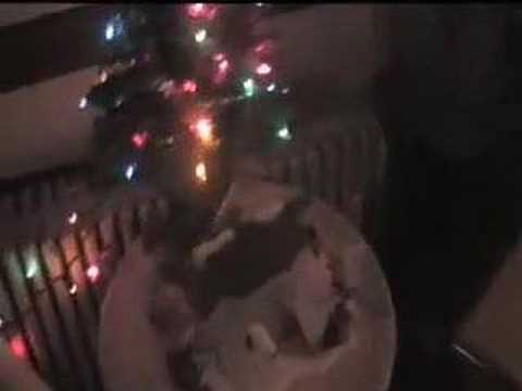 Let it be Christmas Music Video
