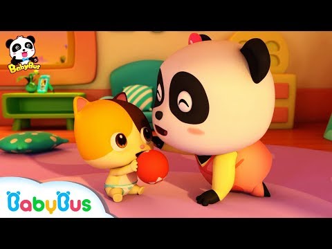 Gấu trúc Kiki & Miumiu làm bảo mẫu | Bài hát thiếu nhi vui nhộn | Bài hát giáo dục trẻ nhỏ | BabyBus