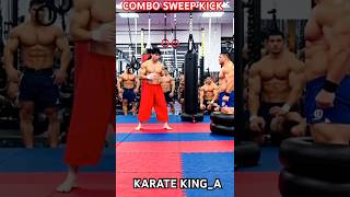 Combo Sweep Kick