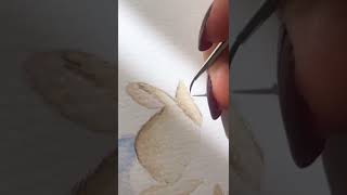 Peter Rabbit