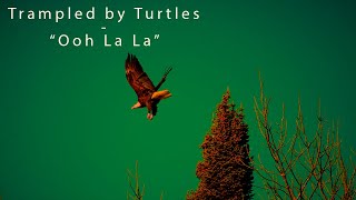 Watch Trampled By Turtles Ooh La La video