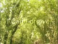 affirmations