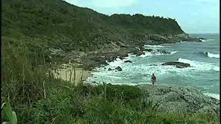 Dica De Literatura 114 - Naturismo - A Redescoberta Do Homem