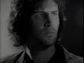 Peter Himmelman - 245 Days