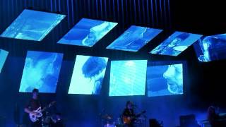 Watch Prime Circle All For The Birds video