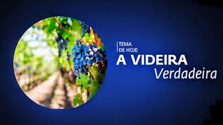 A VERDADEIRA VIDEIRA | Pr. Rafael Tomazini