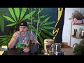 Genetic Stabilization of Cannabis, Stress testing,...