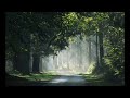 The Road Scholar by Bill Mize