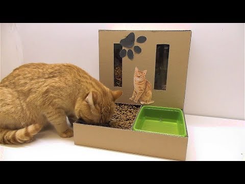 Как сделать корм для кошки в домашних условиях Как сделать корм для кошки в домашних условиях