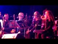 Tree Of Life Video preview
