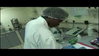Cv Dynamique 25 - Clarissa Jean Pierre - Technicien De Laboratoire