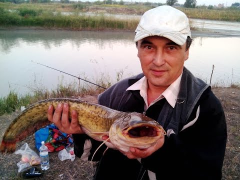 открытие сезона на тереке в кбр рыбалка открытие сезона на тереке в кбр рыбалка