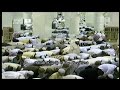 Hd Full Taraweeh Makkah 2013 Day 10 W English Suble images Hd Full Taraweeh Makkah 2013 Day 10 W English Suble