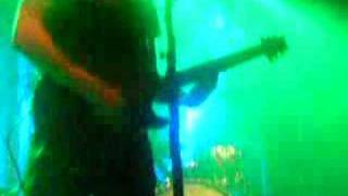 Watch Deep Insight Petunia video