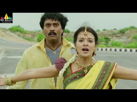 Maryada Ramanna Telugu Full Movie (2010) - Part 1011 - Sunil...