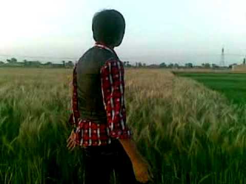 tere kana di wali rashid song