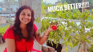 Aro Better Korlam Vlog Rupashree Bengali Vlogs