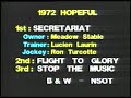 Secretariat - 1972 Hopeful