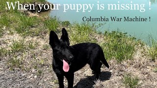 When Your Puppy Is Missing !  Columbia War Machine