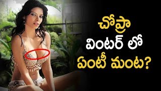 Sherlyn Chopra Shares Her Cleavage Images Latest Telugu Cinema News