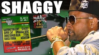Shaggy Feat Rayvon Angel A reggae Geel 2015 Shaggy Feat Rayvon Angel A reggae Geel 2015