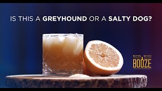 How to tell if your GREYHOUND is a SALTY DOG!