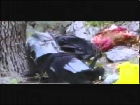 Watch Homenaje a Jenny Rivera - El Peseta