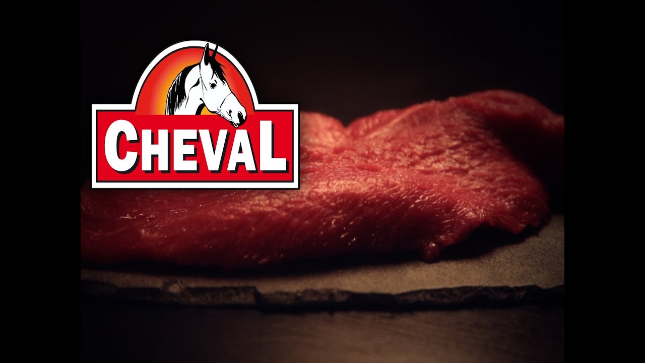 CHEVAL PARODIE PUB CHARAL YouTube