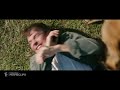 A Dog's Purpose (2017) - I Found You! Scene (8/10) | Movieclips