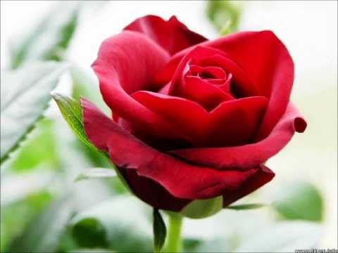 Bolywood Superhit Songs of 2001 (Shorter Version) - HQ