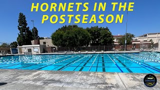 Hornets in the Postseason