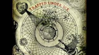 Watch Trapped Under Ice World I Hate video