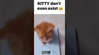 Bro Doesnt Even Exist