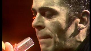 Watch Ian Dury  The Blockheads The body Song video