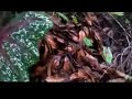 image Malayalam Phone Kambi Kathakal Kamini Aunty Smooth Touch Ing