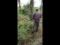 Babi Hutan Hunting images Babi Hutan Hunting