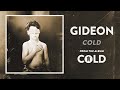 Cold Video preview