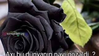 Axi Bu Dünyanin Nəyi Gözəldi???