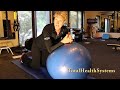 Stability Ball Plank by Laurie