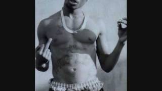 Watch Richie Rich Niggas Done Changed video