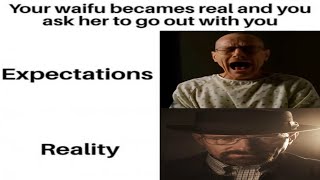 The Friend Who's Actually a Lesbian, Anime Memes Replaced With Breaking Bad  / Mikeposting