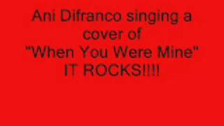 Watch Ani Difranco When You Were Mine video